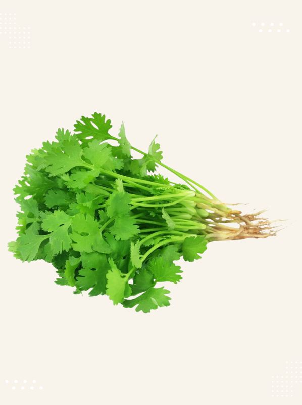 Coriander - Fresh and high-quality vegetable from Modern Bazaar UK