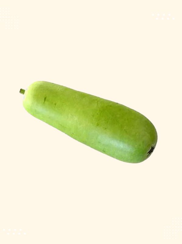 Bottle Gourd - Fresh and high-quality vegetable from Modern Bazaar UK