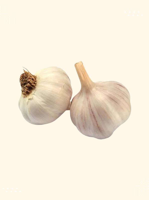 Garlic - Fresh and high-quality vegetable from Modern Bazaar UK