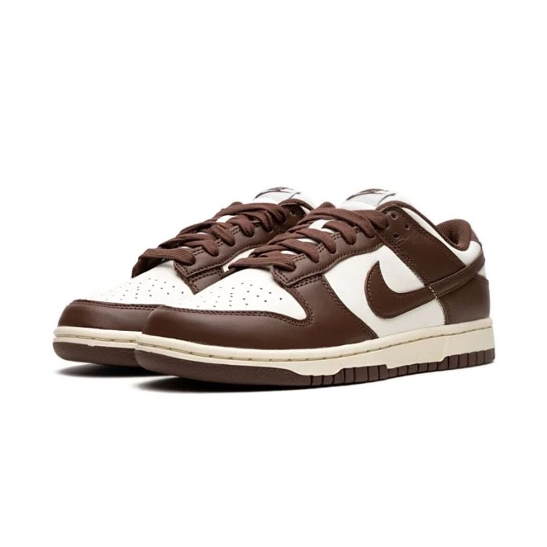 Air Jordan Dunk LOW 