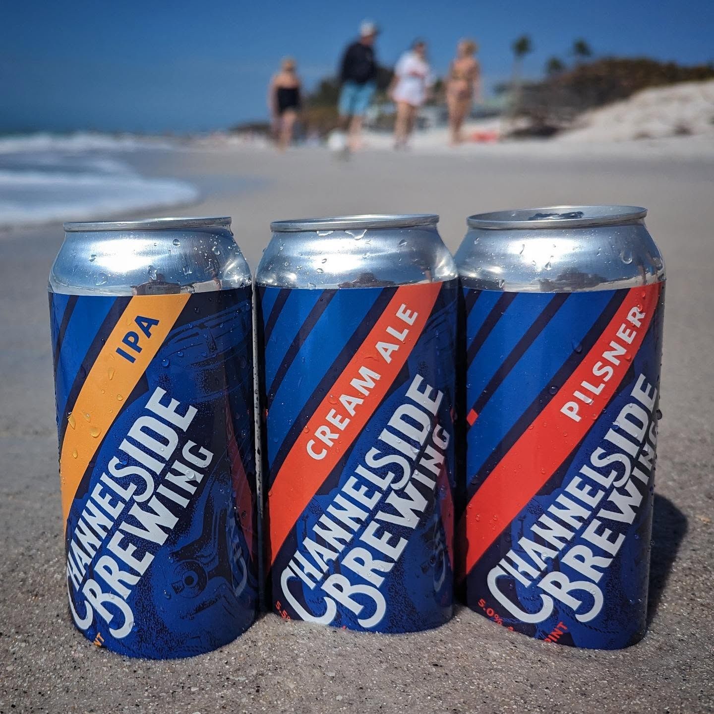 CHANNELSIDE BREWING IPA 4PK