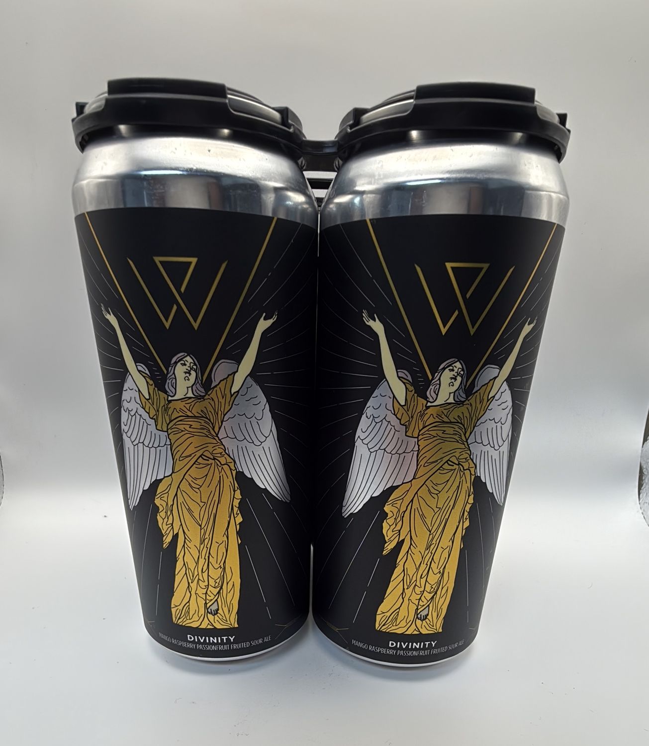 Woven water Divinity sour ale 4pk