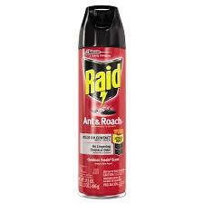 RAID ANT &amp; ROACH SPRAY