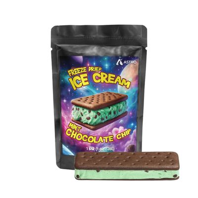 Astro Freeze Dried Ice Cream Mint Chocolate Chip