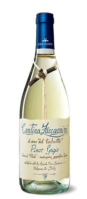 Cantina Zaccagnini Pinot Grigio