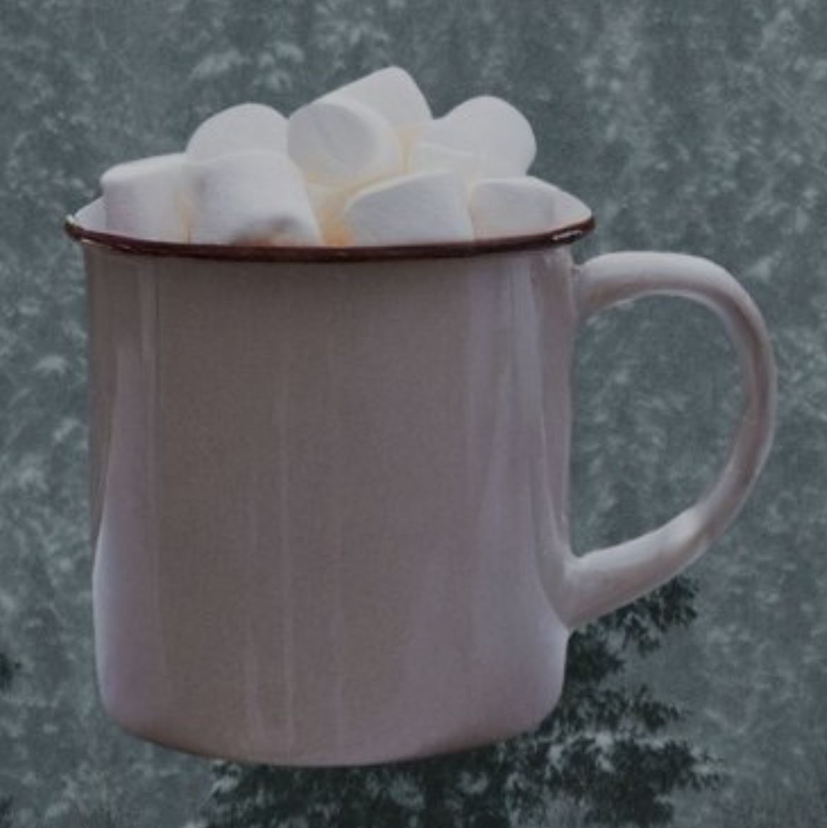 Toasted Marshmallow Latte