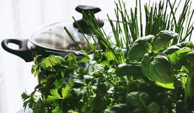 Fresh Herb Delights: 5 Recipe Ideas for Fresh Herbs