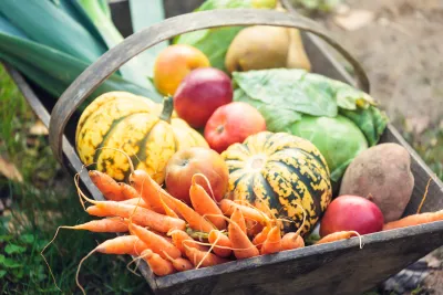 Harvest Overload? Here’s What I Do With My End-of-Summer Veggie Bounty