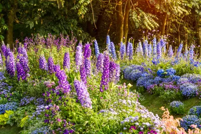The Joy of Perennials