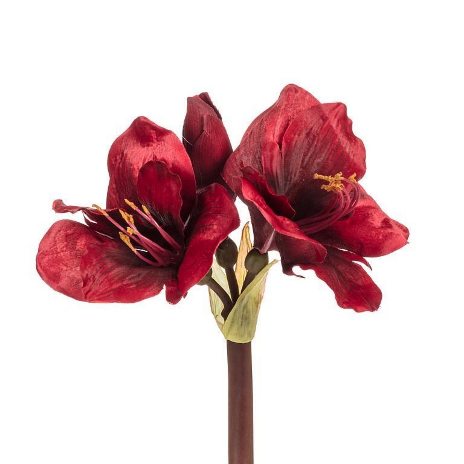 19&quot; Amaryllis Stem with 3 Red Blooms