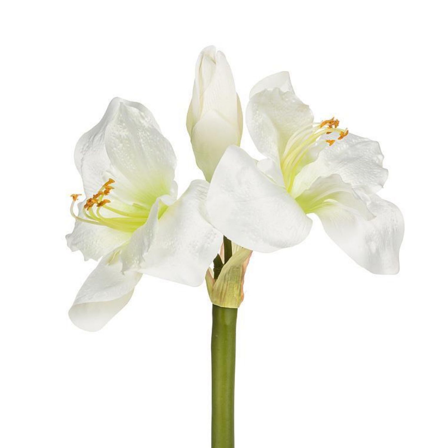 19&quot; Amaryllis Stem with 3 White Blooms