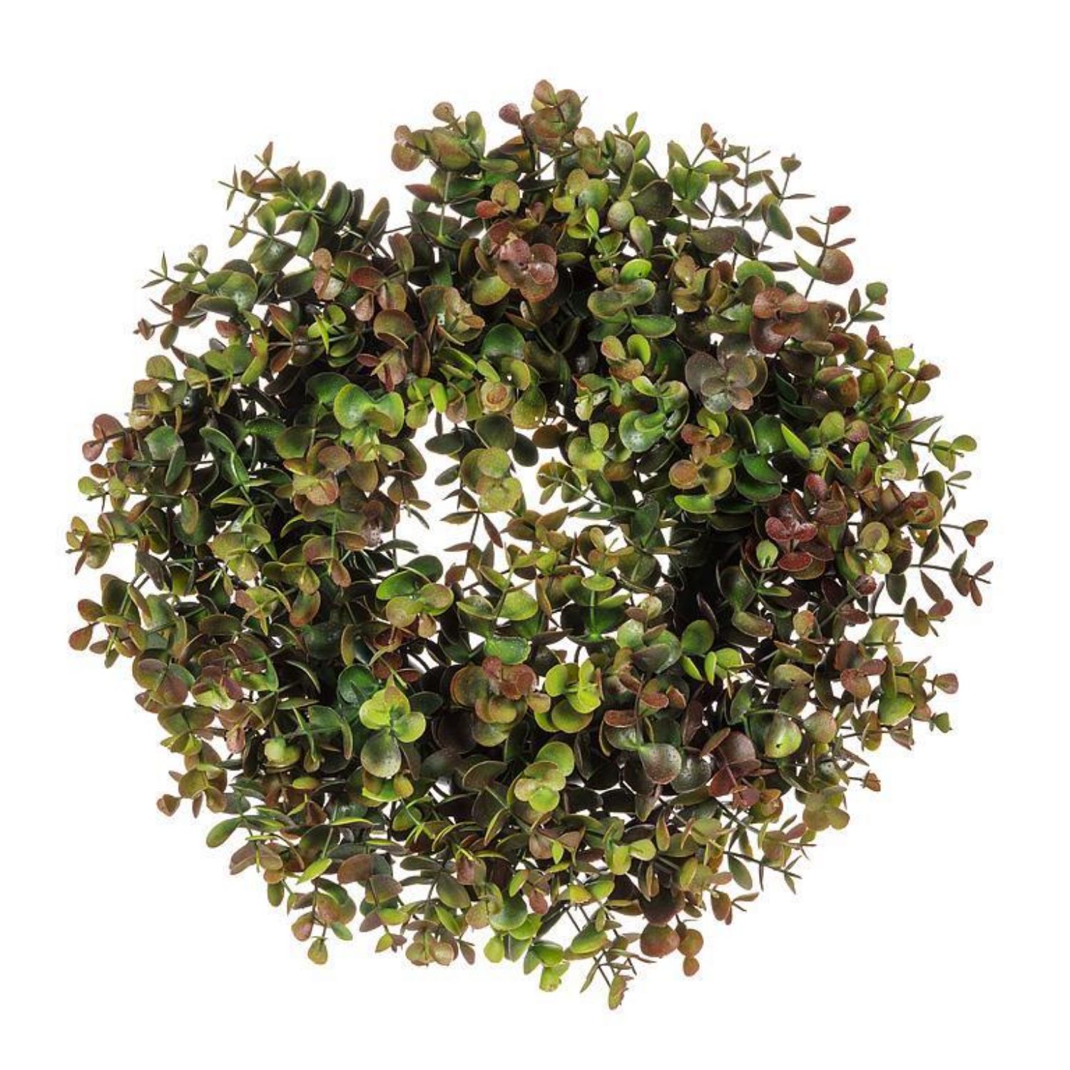 14&quot; Boxwood Wreath – Green &amp; Red
