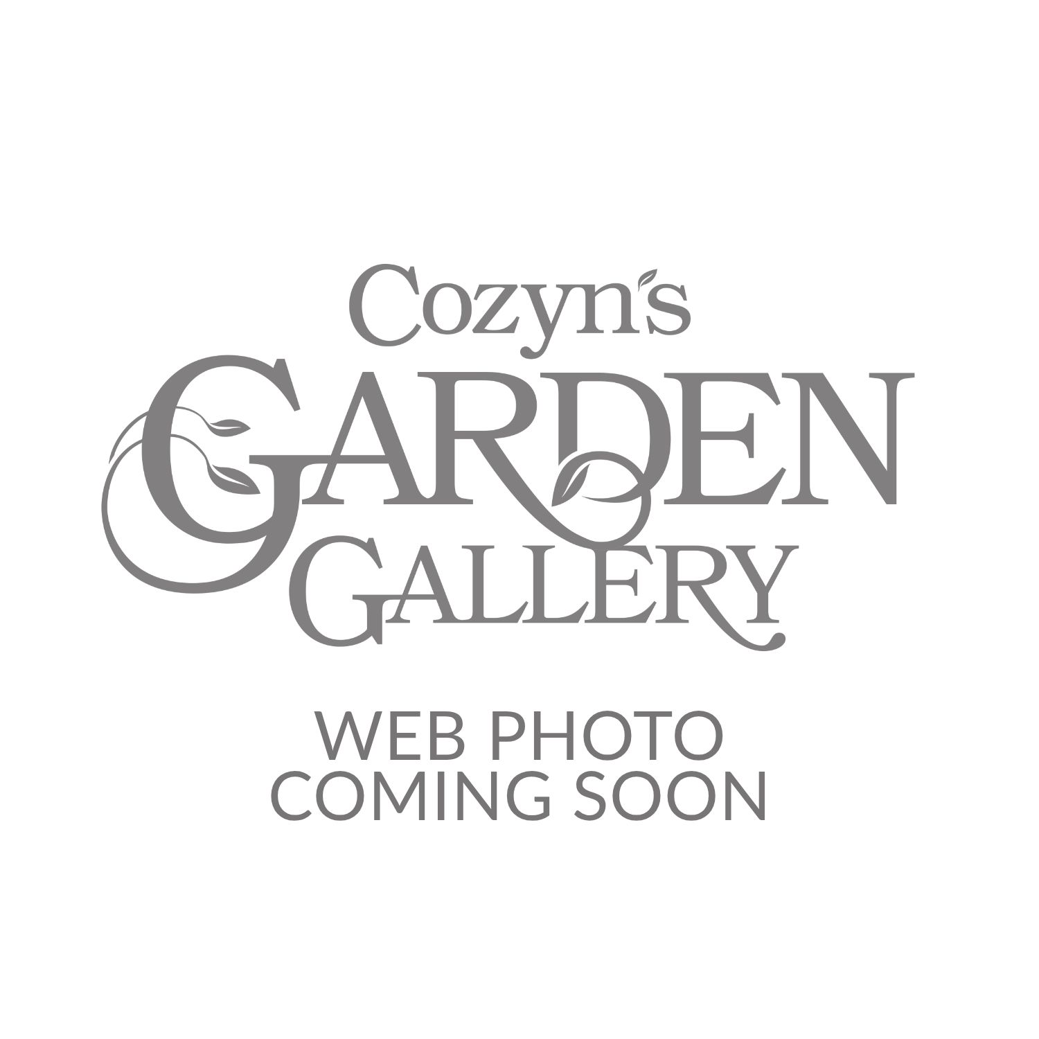 2.5&quot; Ceramic Pumpkin – Shiny Ivory