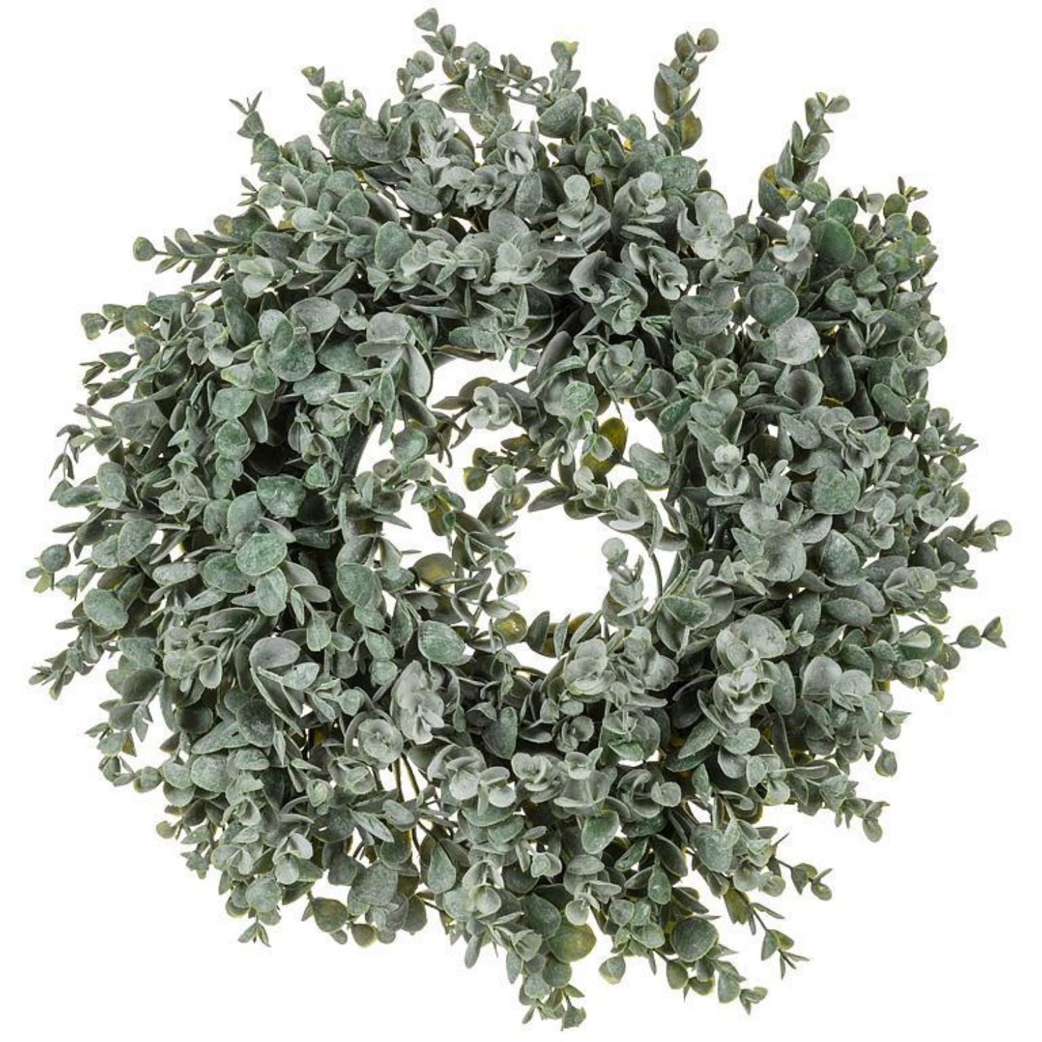 15&quot; Frosted Boxwood Wreath