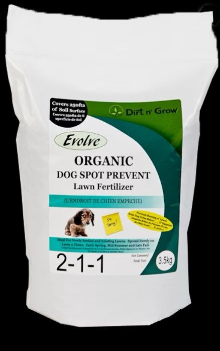 Evolve Dog Spot Repair