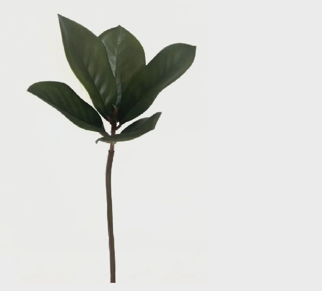 Magnolia Leaf Stem 16&quot; green