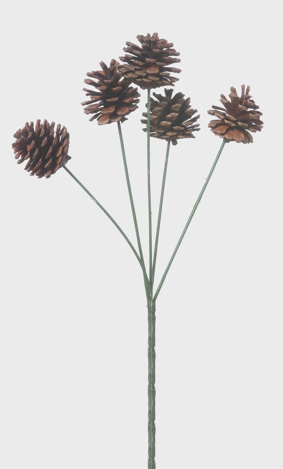 Pinecone Spray Stem x5 13&quot; brown