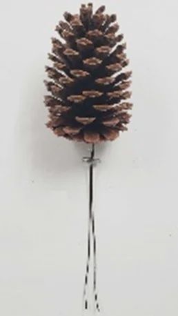 Natural Brown 4&quot; Pinecone on pick