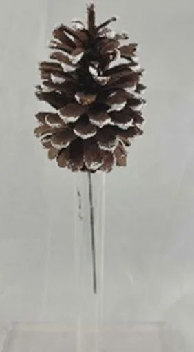 White Tipped 5&quot; Pinecone on pick