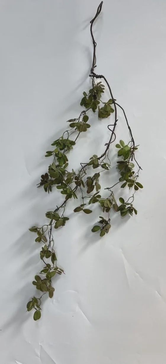Laurel Leaf Garland 24&quot; green