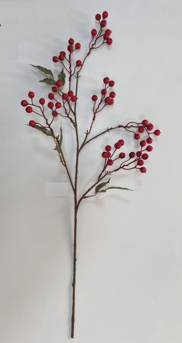 Chokeberry Stem 30&quot; red