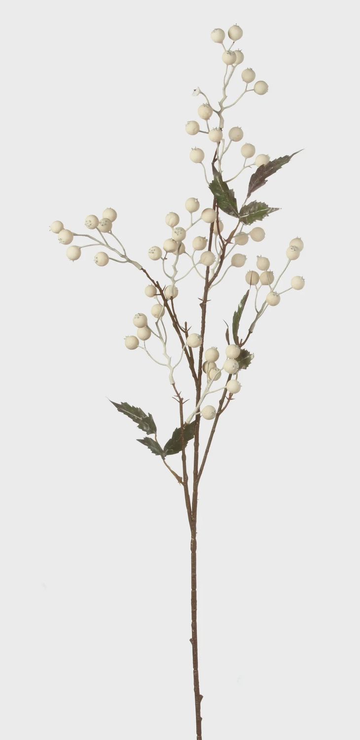 Chokeberry Stem 30&quot; white