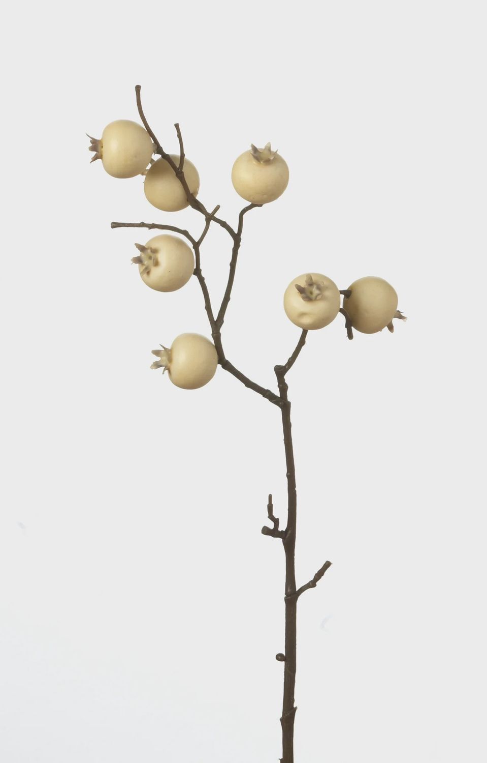 Crabapple Branch 13&quot; cream