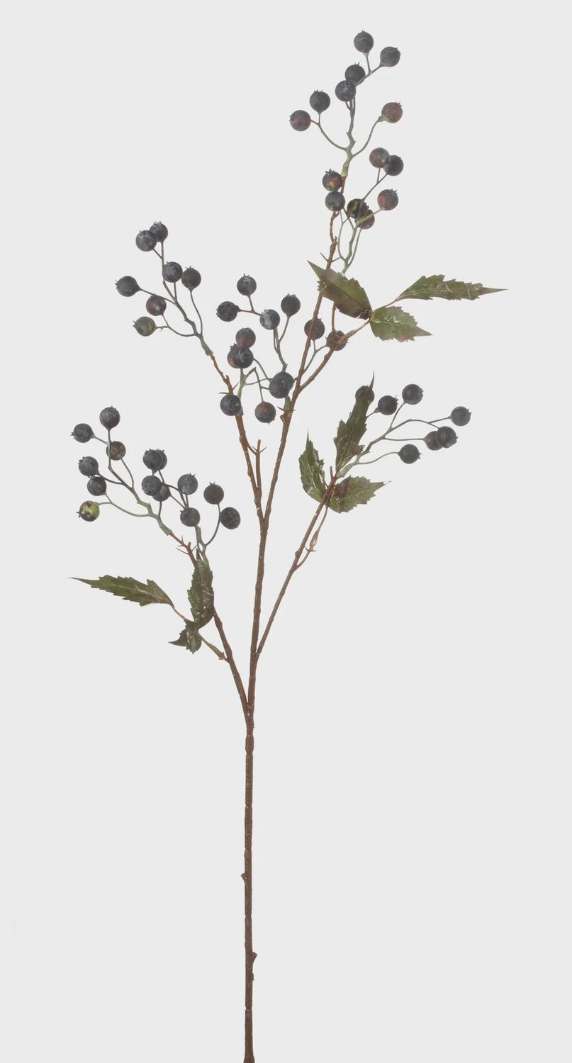 Chokeberry Stem 30&quot; blue