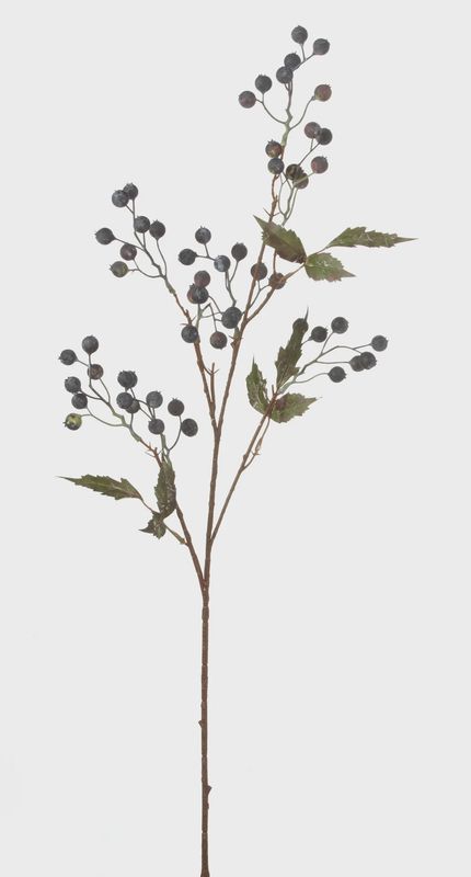Chokeberry Stem 30&quot; – Blue