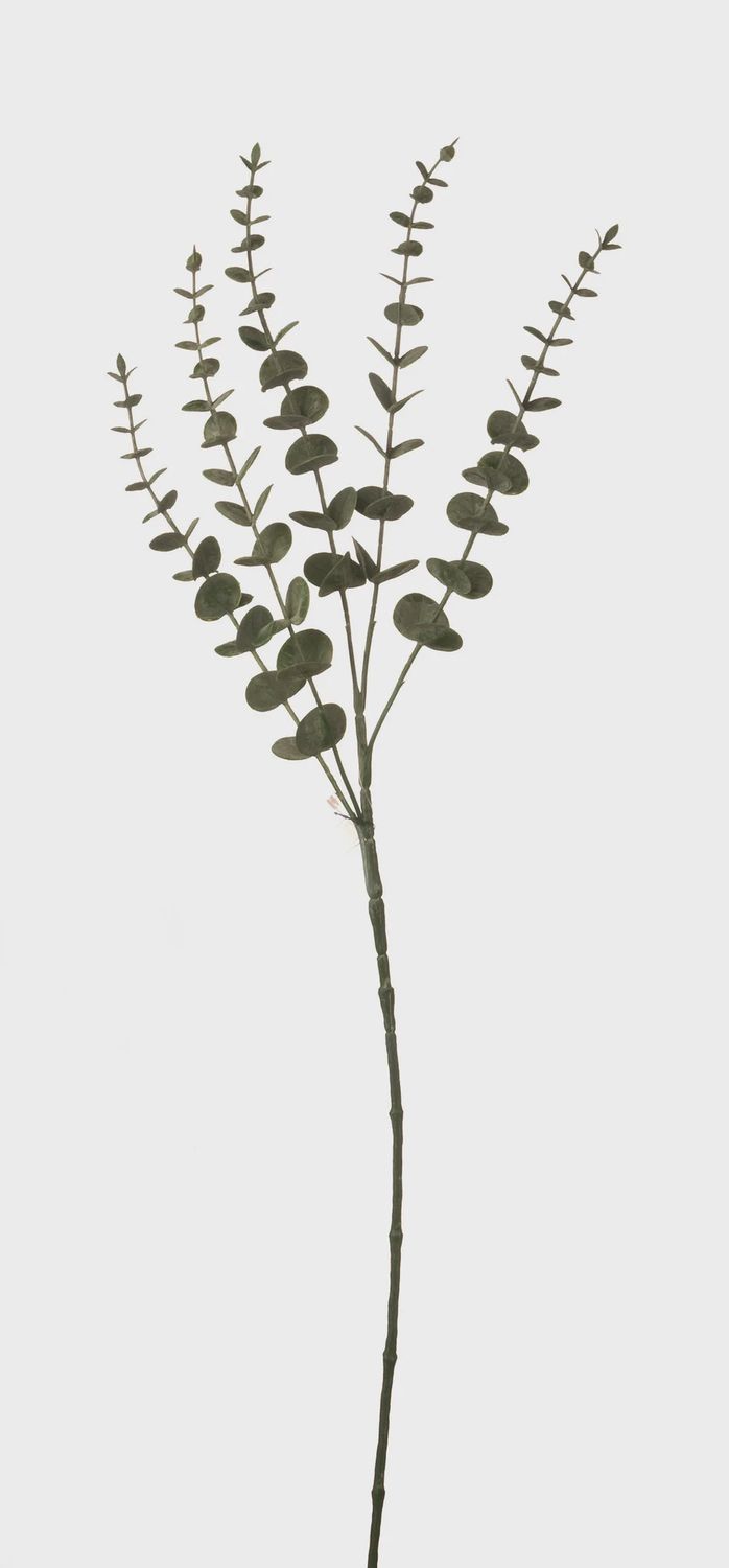 Eucalyptus Spray 29&quot; green