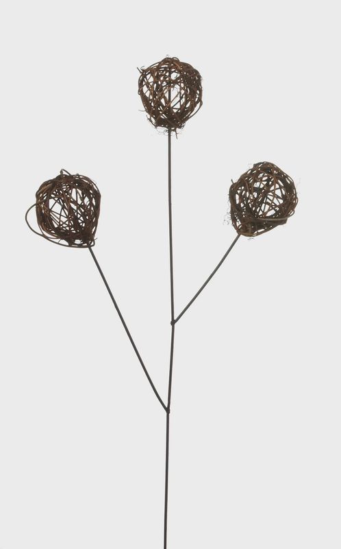 Vine Ball x3 Stem – Natural 20&quot;