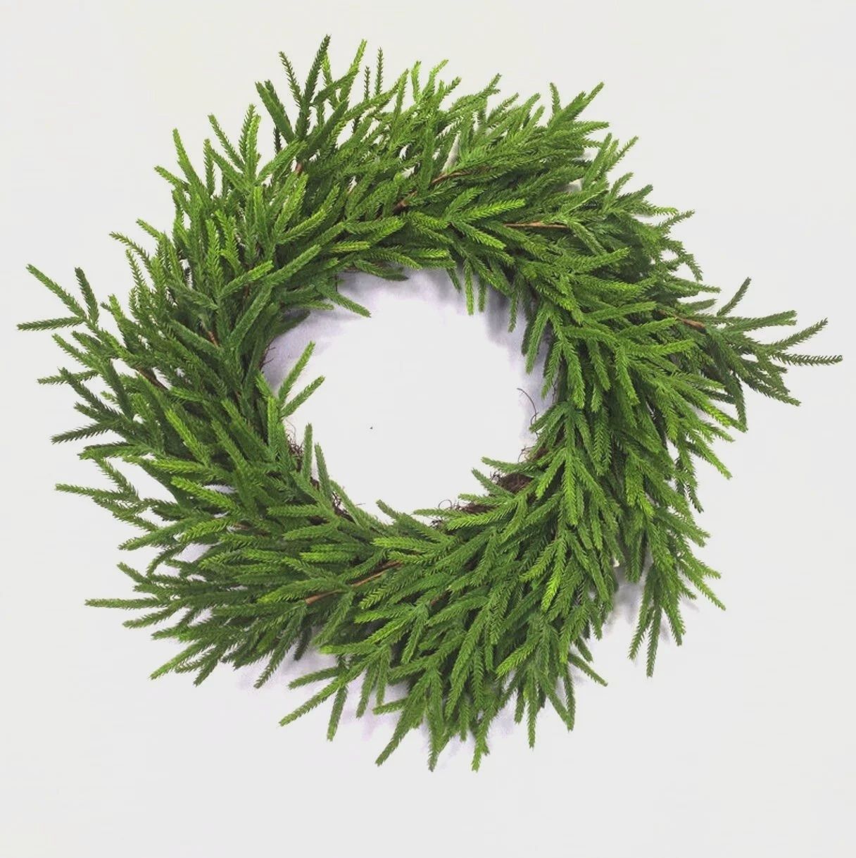 Norfolk Pine 28&quot; Wreath Natural Touch green