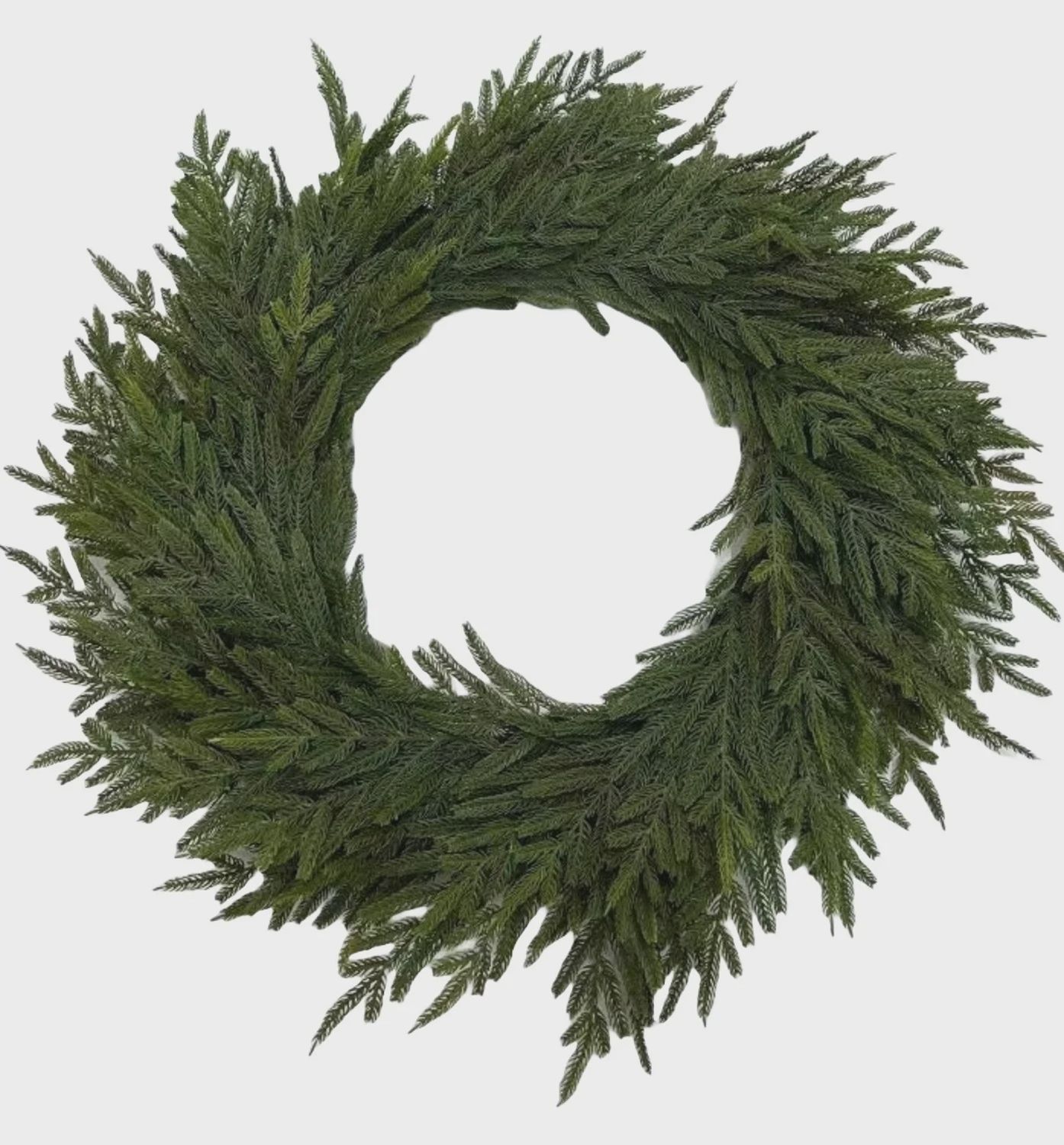 32&quot; NORFOLK PINE WREATH
