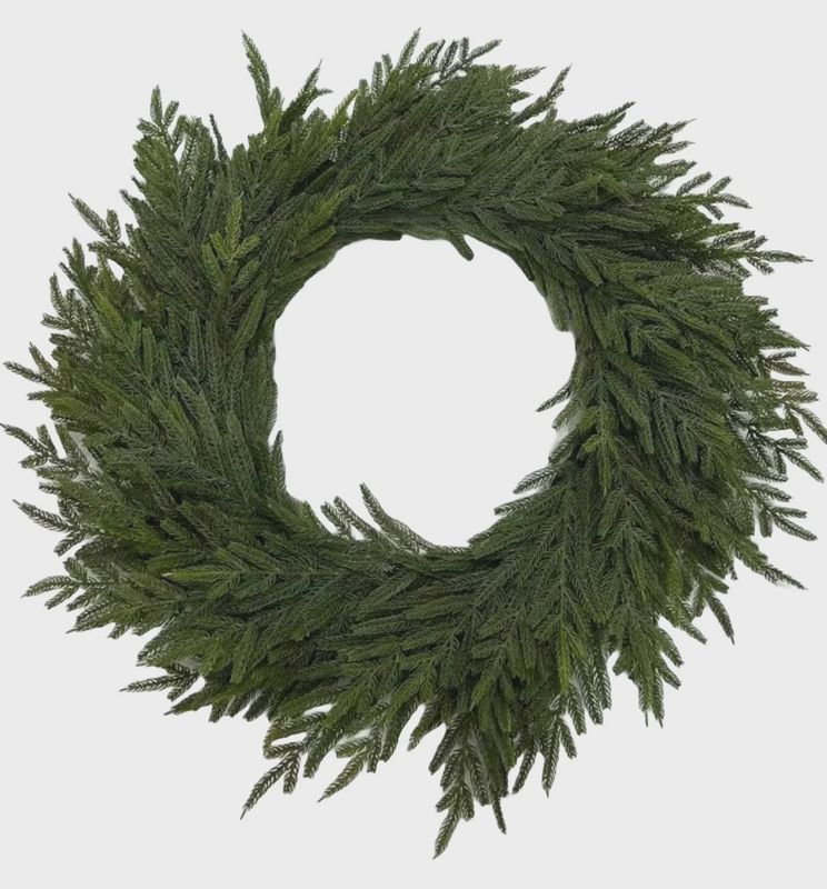 Norfolk Pine 24&quot; Wreath