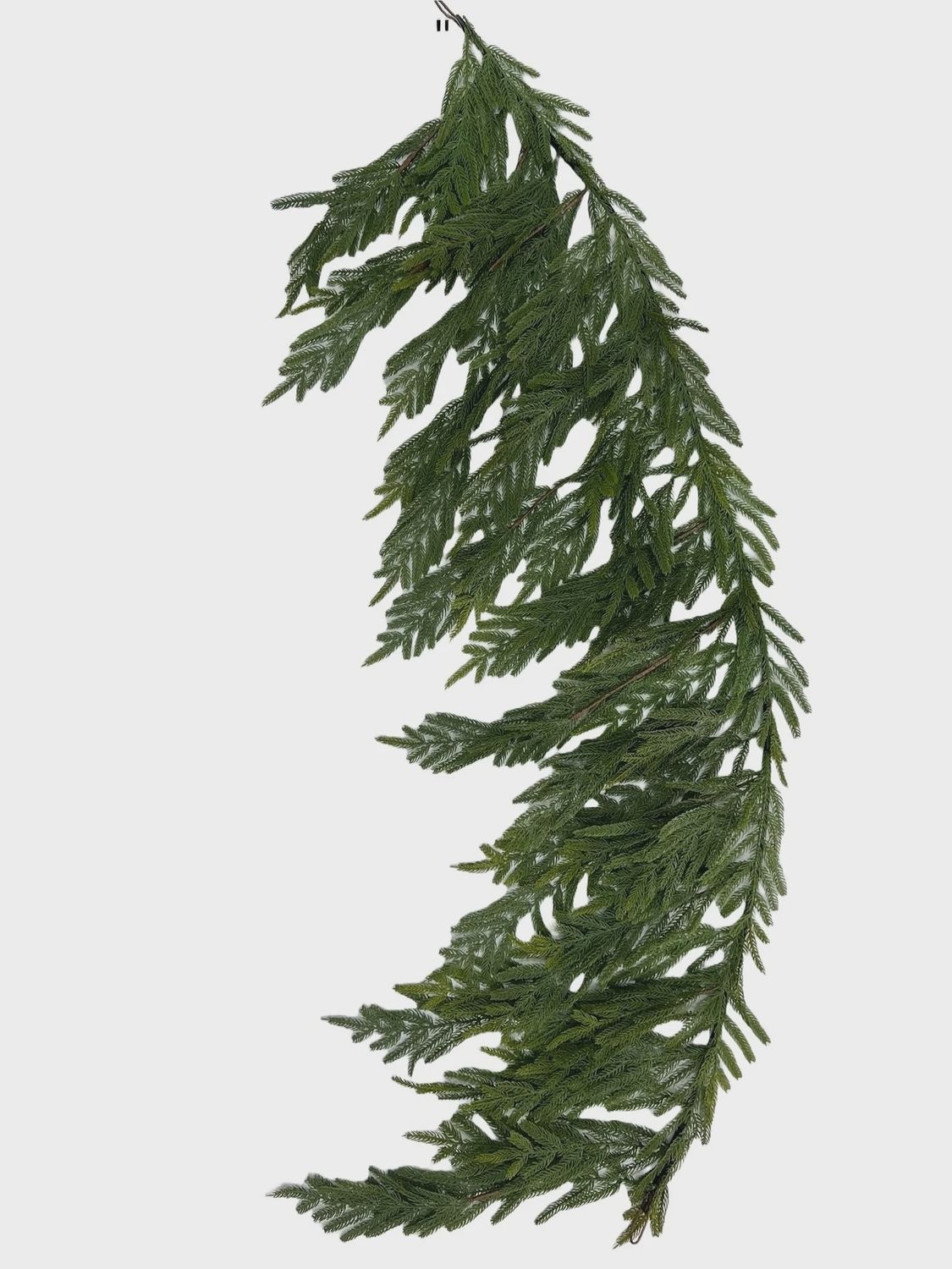 Hanging Norfolk Pine Stem 60&quot; green