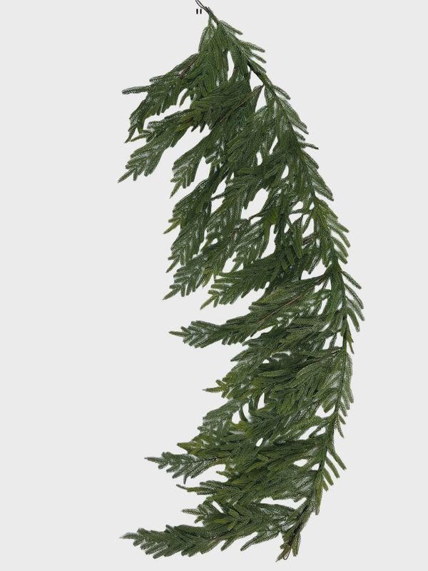 Hanging Norfolk Pine Stem 60&quot; – Green