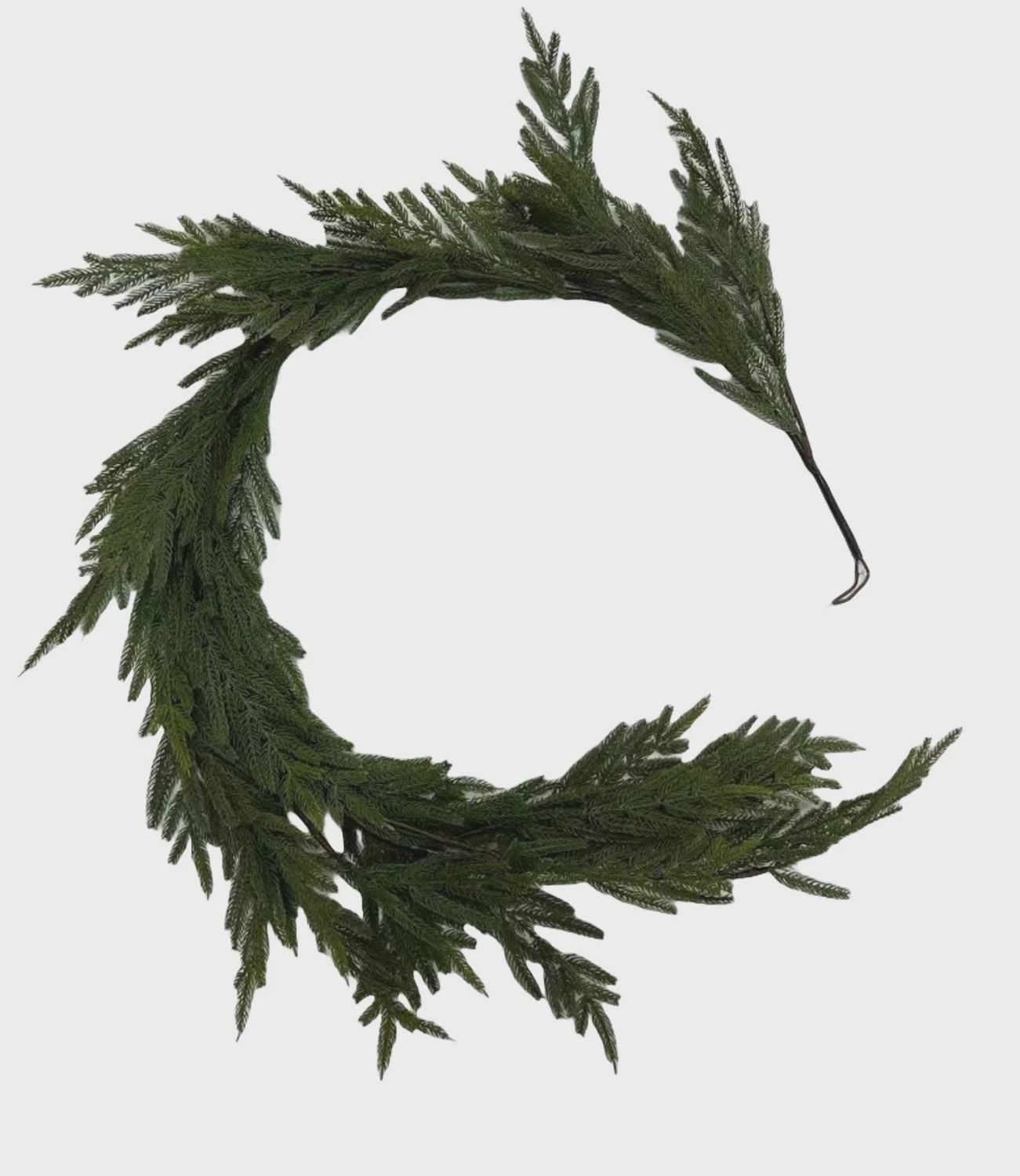 Norfolk Pine 6&#39; Garland green