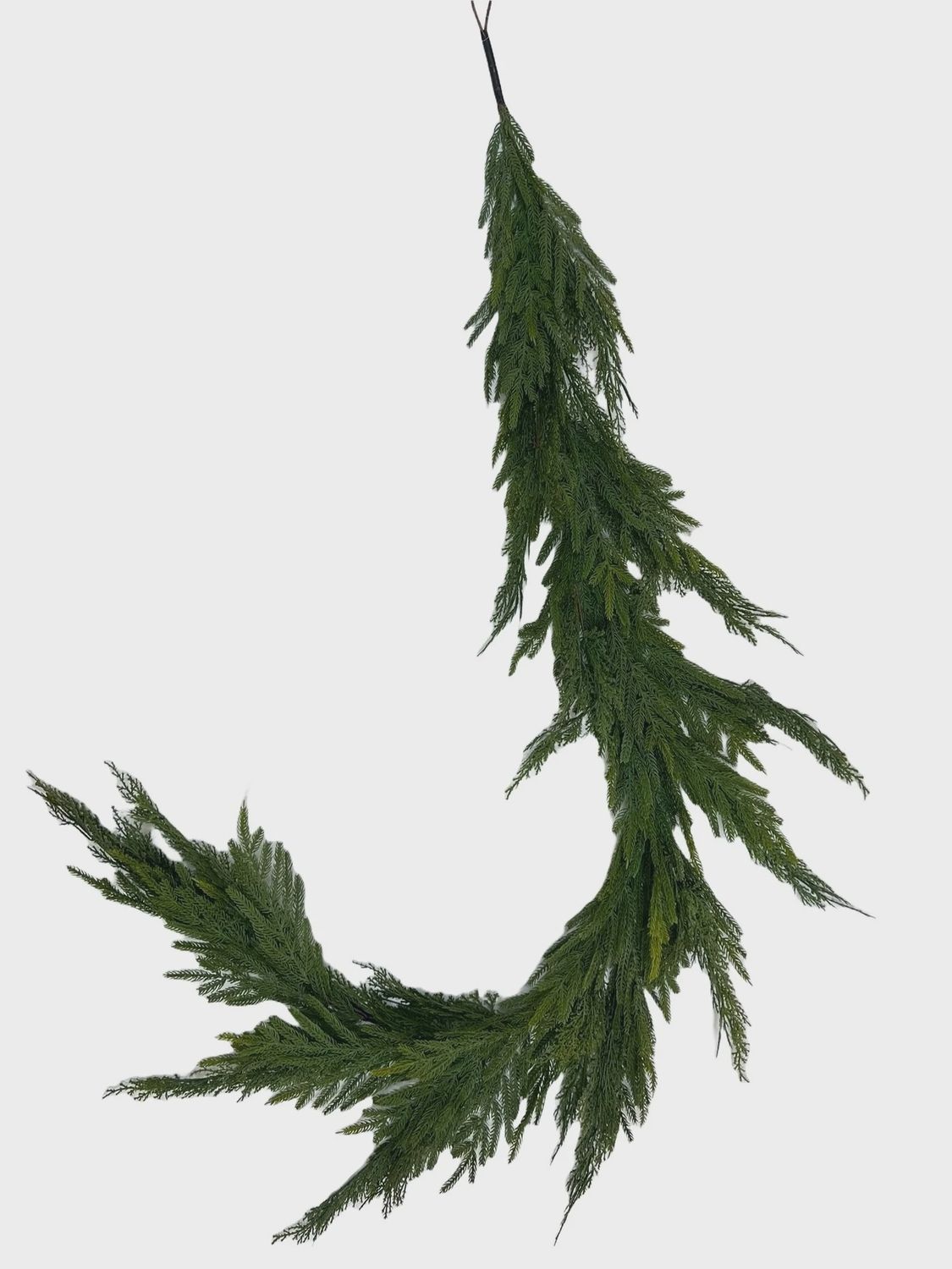 Norfolk Pine &amp; BC Cedar 6&#39; Mixed Garland green