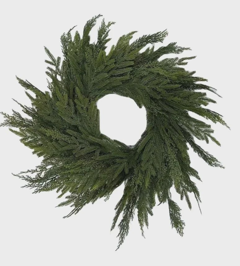 Norfolk Pine &amp; BC Cedar 24&quot; Mixed Wreath green