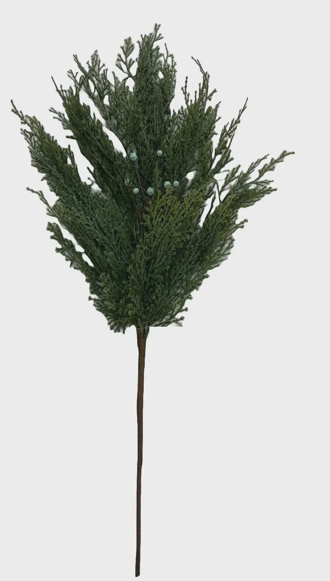 Long BC Cedar Spray with Berries 24&quot;