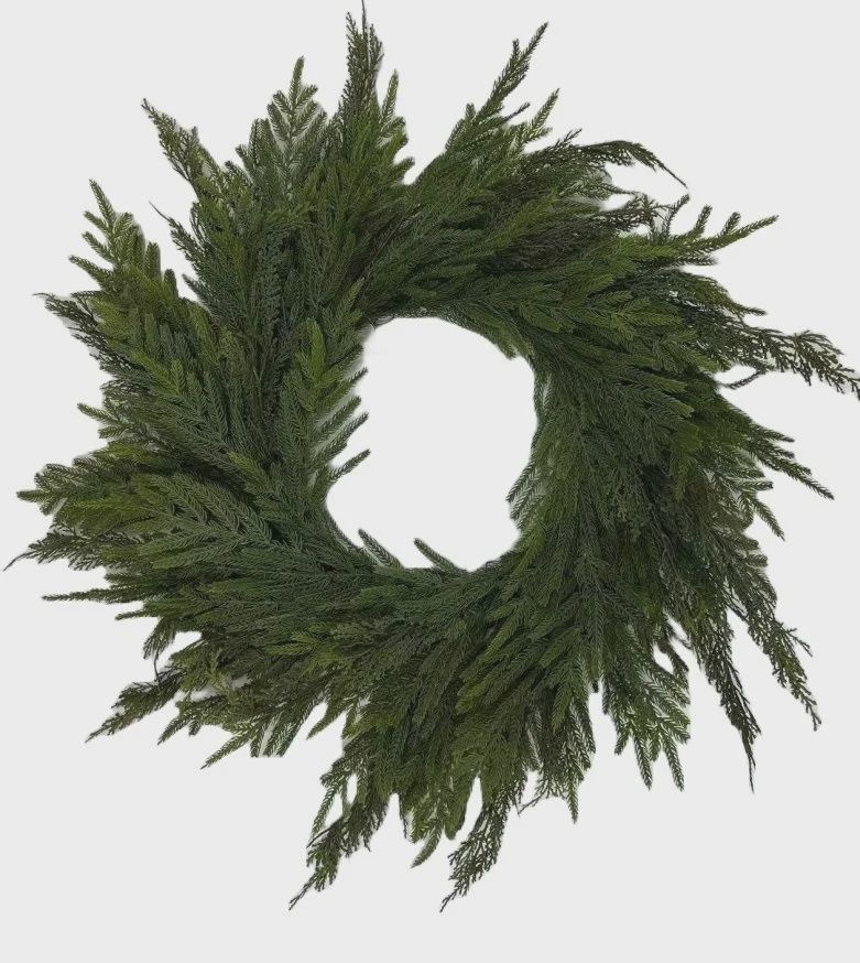 Norfolk Pine &amp; BC Cedar 30&quot; Mixed Wreath green