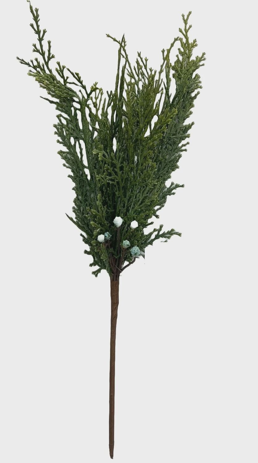Long BC Cedar Pick with Berries 15&quot;