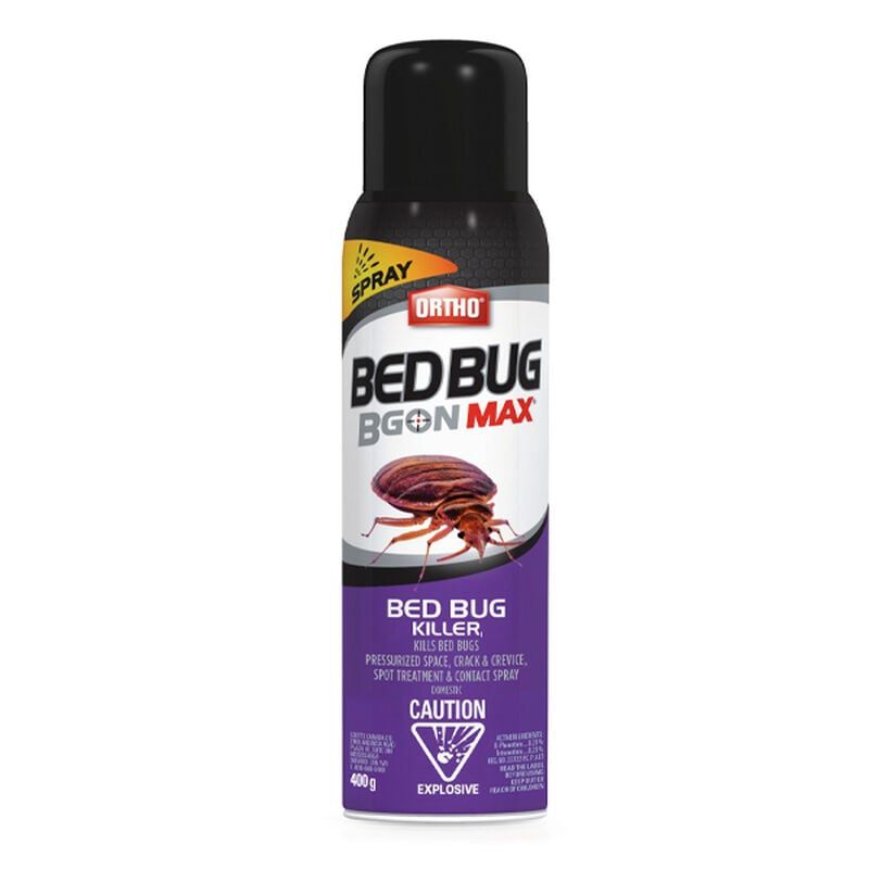 Ortho BedBug B Gon (Aerosol Can)