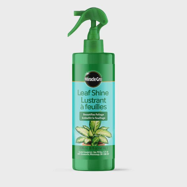 Miracle-Gro Leaf Shine