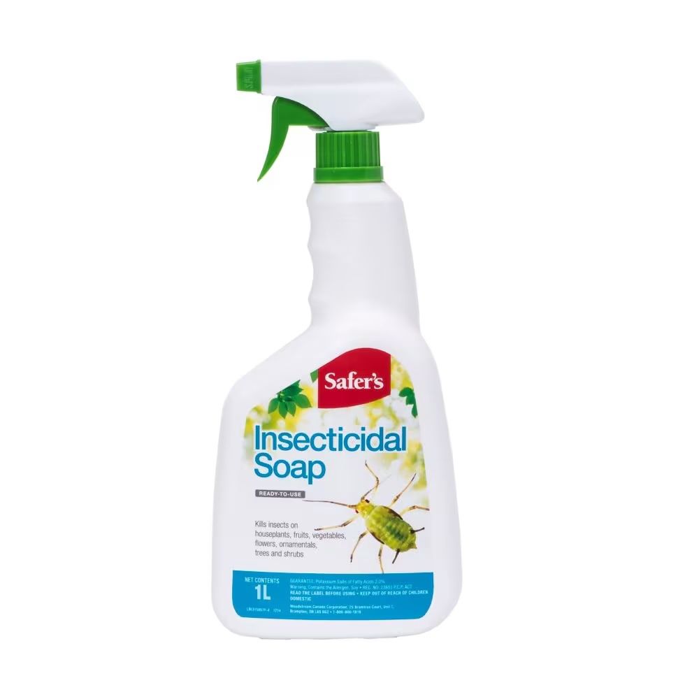 Safer’s Insecticidal Soap Ready-to-Use Spray