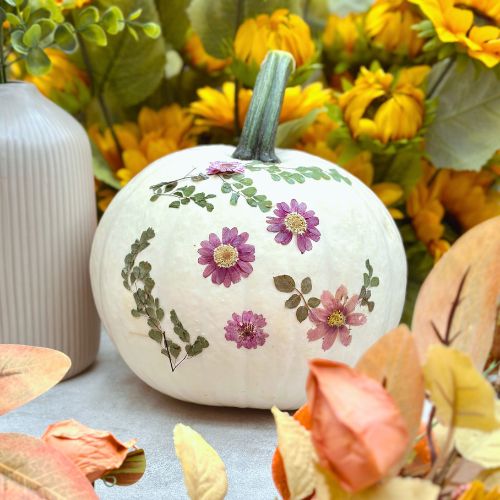 Pressed Flower Pumpkins