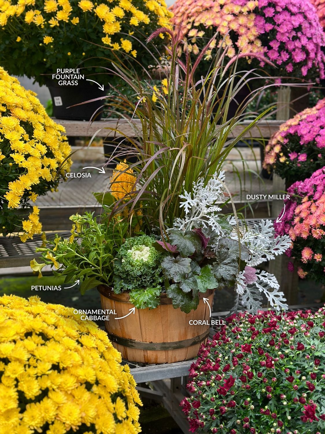 Fall Planter Class