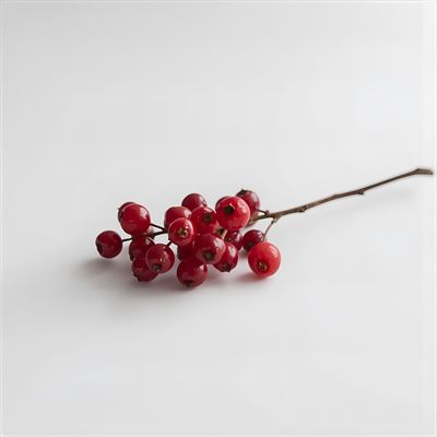 Berries