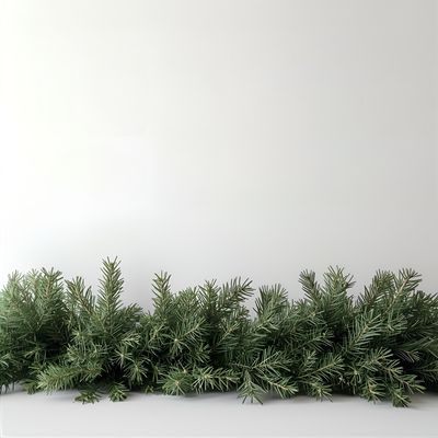 Garland
