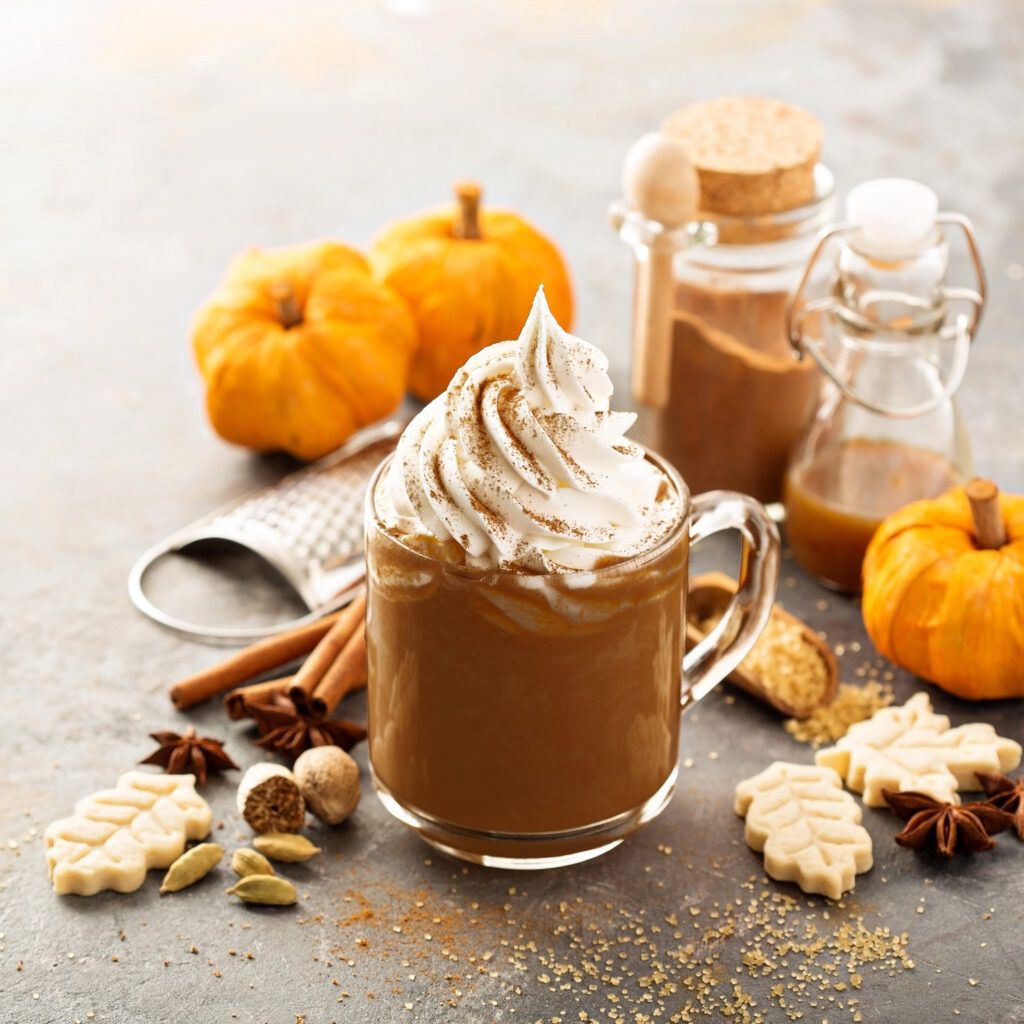 Pumpkin Spice Gourmet Hot Chocolate – Seasonal Pumpkin Flavored Chocolate Drink